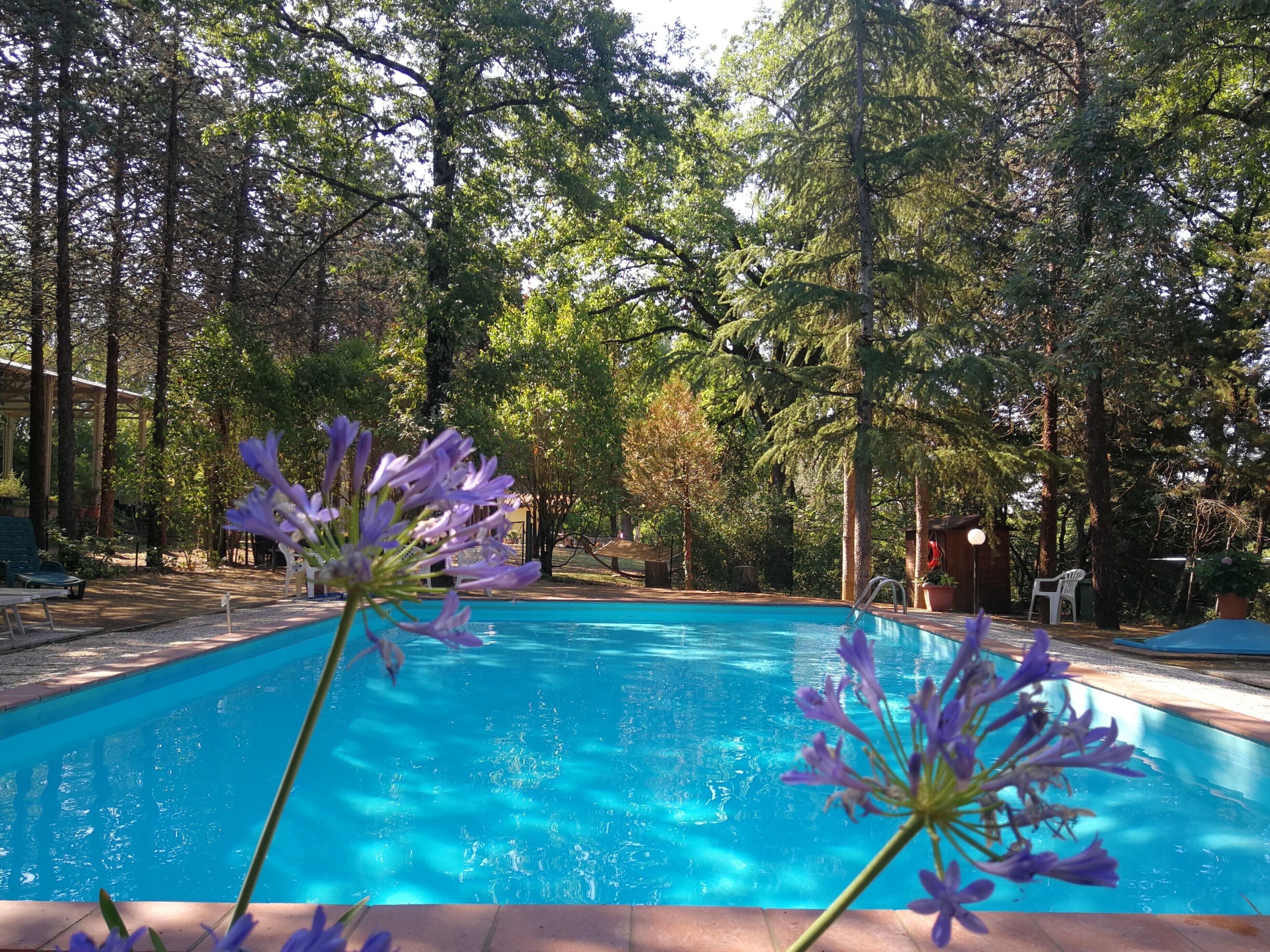 Piscine extérieure (ouverte en saison), chaises longues