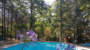 Una piscina rodeada de árboles, con un cielo azul despejado.