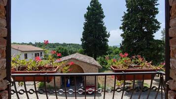 Un balcone con un muro in pietra, piante in vaso e vista su un paesaggio rurale con alberi e un edificio.