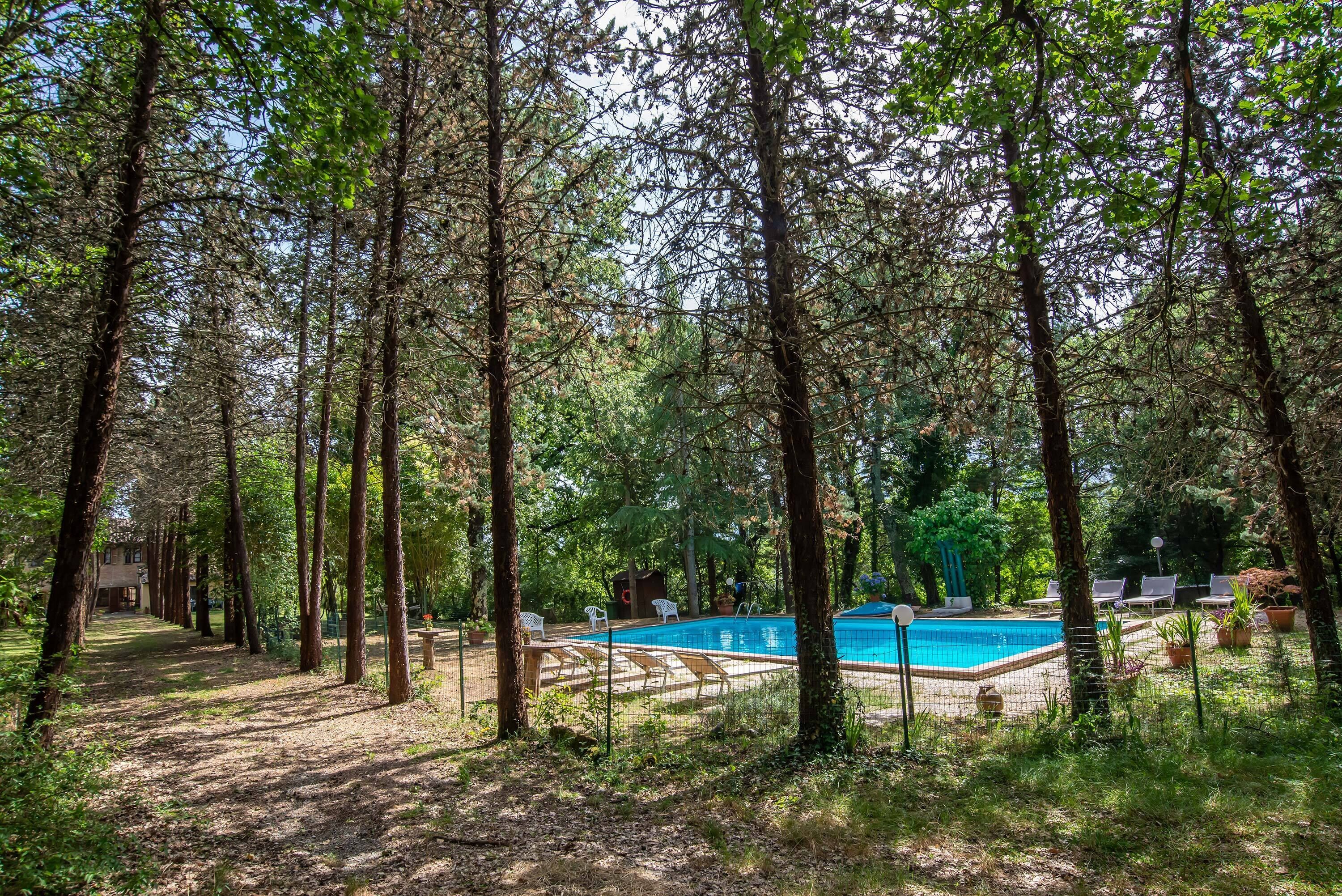 A swimming pool surrounded by tall trees, with lounge chairs and a covered area in the background.