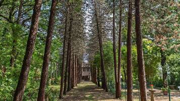 Parco della struttura