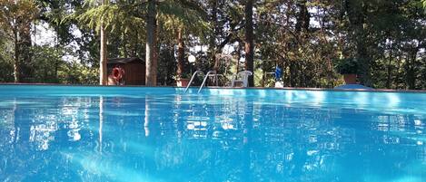 Seasonal outdoor pool, sun loungers