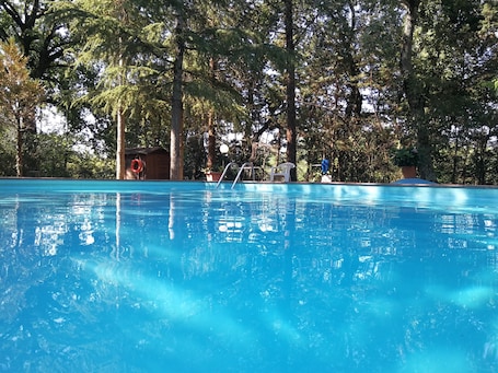 Seasonal outdoor pool, sun loungers