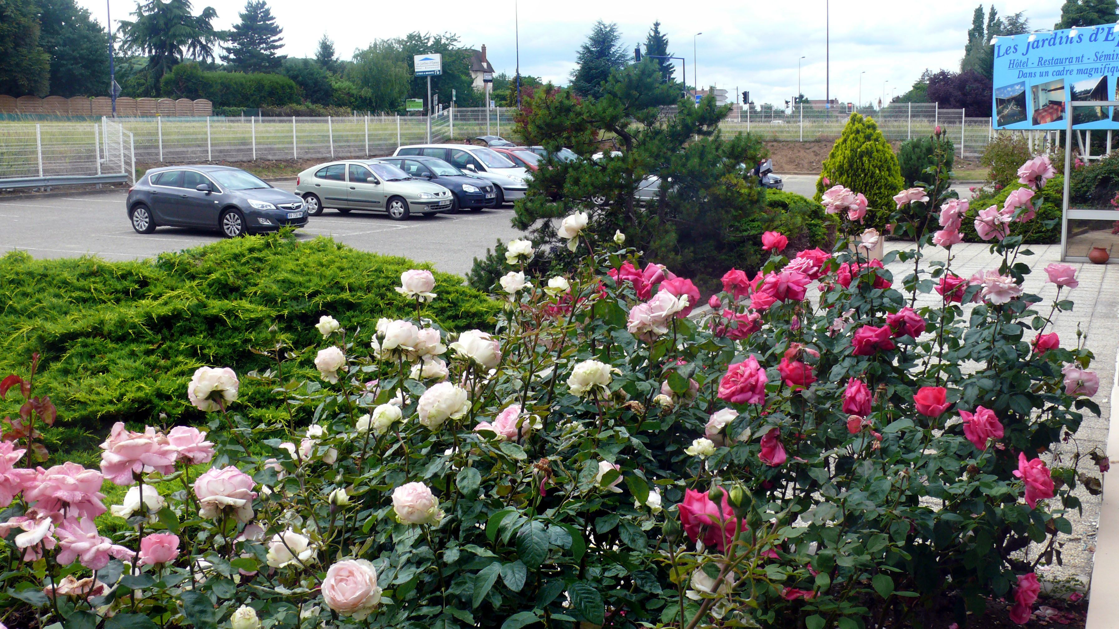 A parking lot with several cars, a sign for 'Les Jardins d'El', and a variety of roses in full bloom.