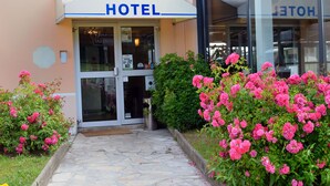 Una entrada de hotel con un camino de piedra que lleva a la puerta, rodeada de flores rosadas.