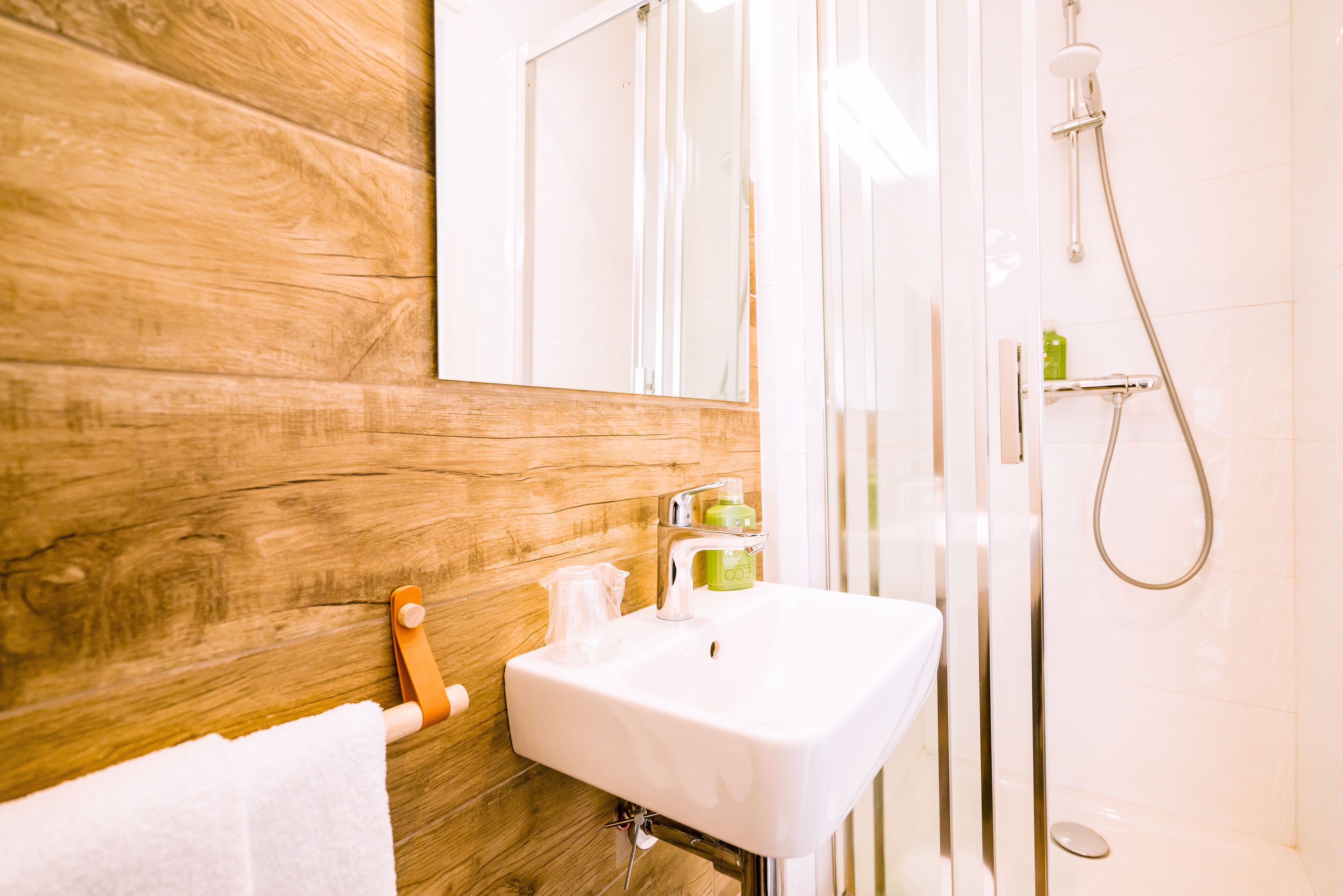 single room | bathroom | hair dryer, towels