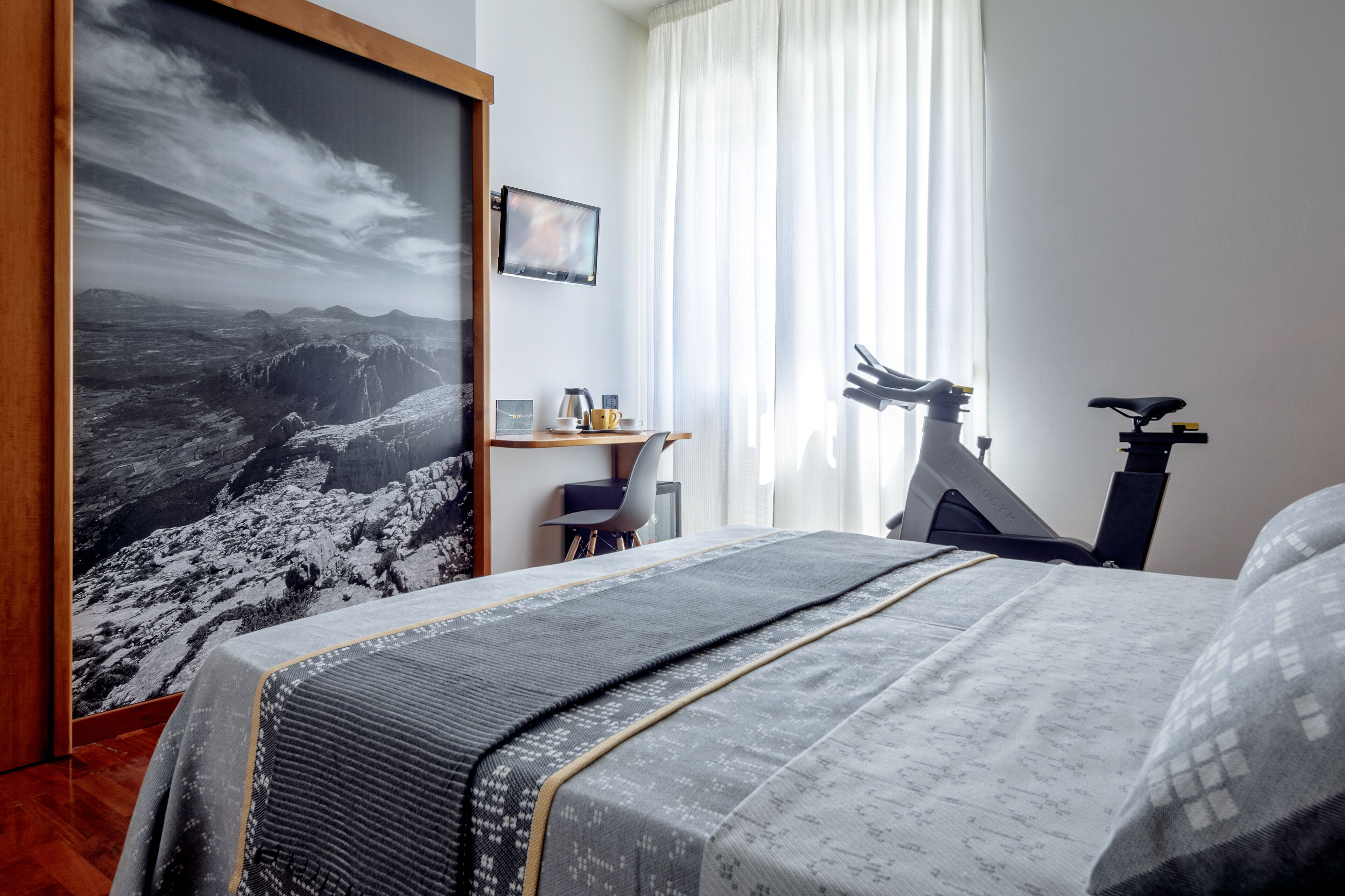 minibar, desk, laptop workspace, free wifi