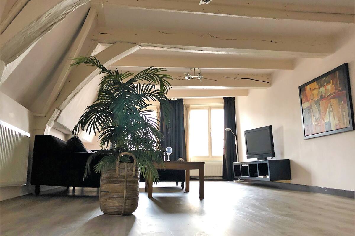 Un salon avec une grande plante, un canapé, un téléviseur et un tableau accroché au mur.