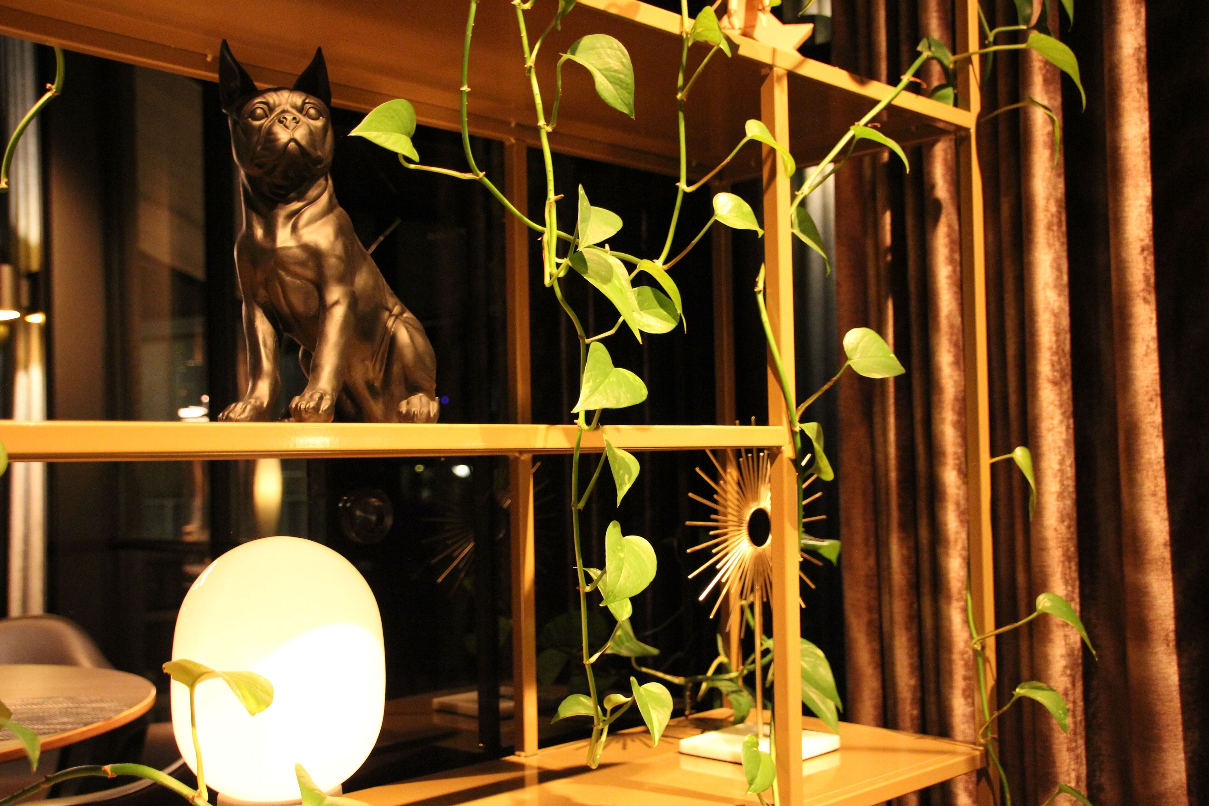 Foto - Hotel Hogerhuys - adults only