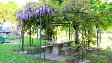 A garden with a stone bench and a pergola with purple flowers.