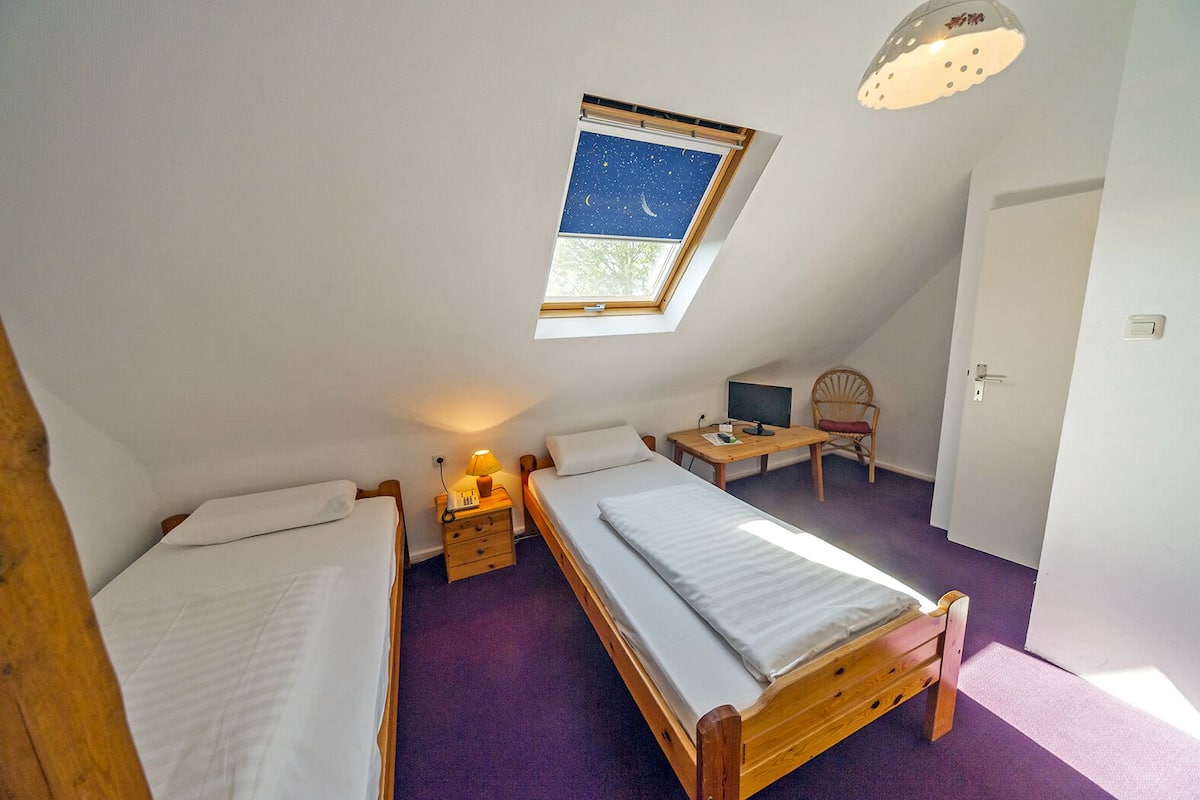 Economy Twin Room, 2 Single Beds