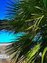 Outdoor pool, pool umbrellas, sun loungers