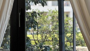 Uitzicht door een raam met gordijnen, met een balkon met een metalen hekwerk en een bloempot.