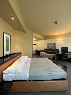 Individually decorated, individually furnished, desk, blackout drapes - Hotel Griselda (Saluzzo)