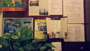 Un tablón de anuncios con documentos, mapas y folletos relacionados con viajes.