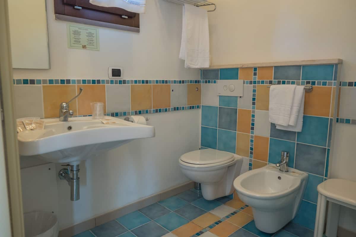 double or twin room | bathroom | shower, free toiletries, hair dryer, bidet