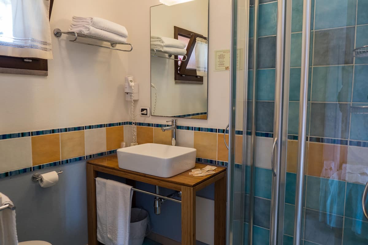 shower, free toiletries, hair dryer, bidet