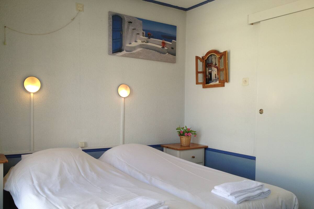 Standard Twin Room, 2 Twin Beds | Hypo-allergenic bedding available, minibar, in-room safe