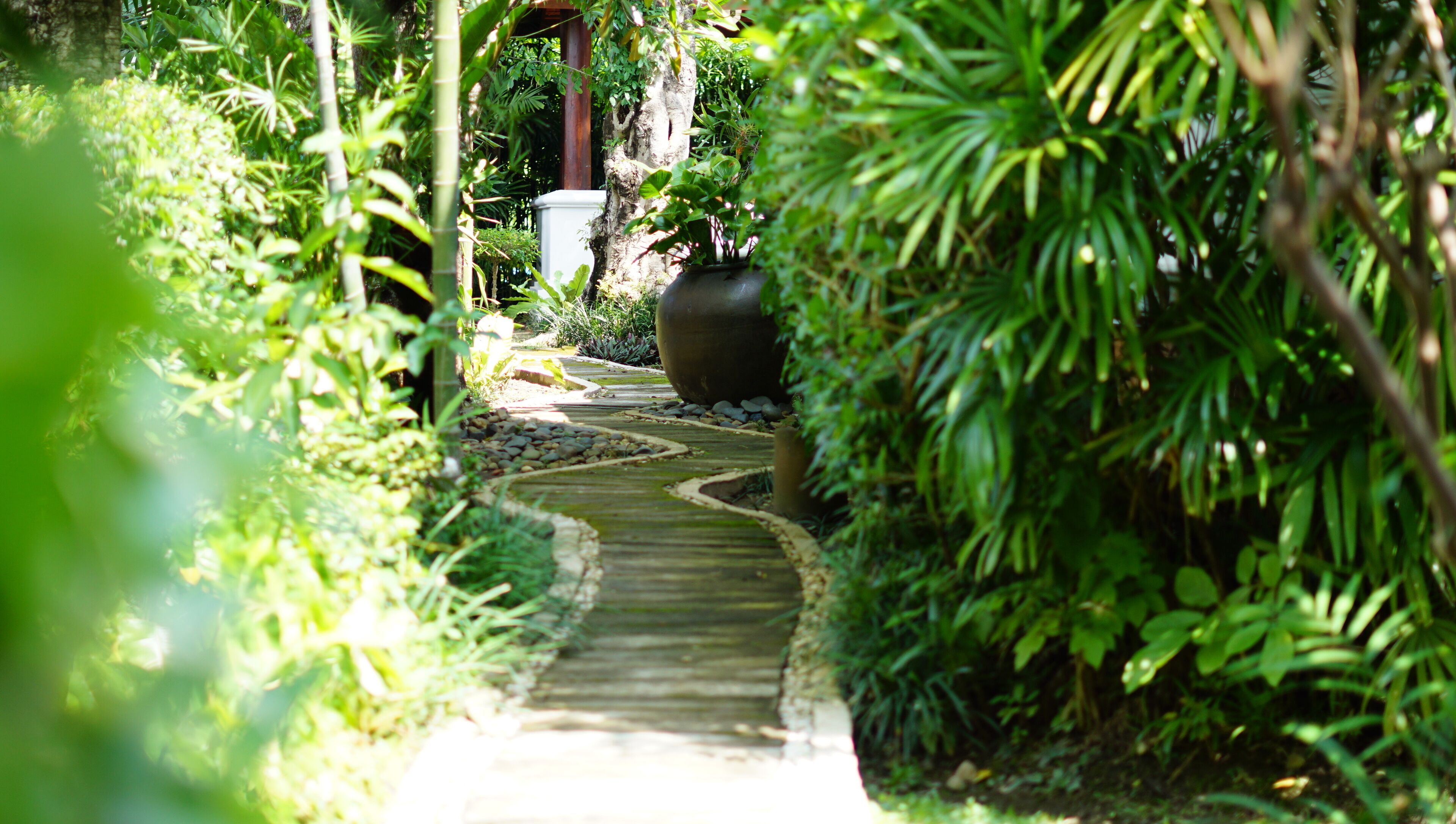 Taman