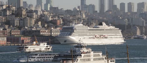 A cruise ship docked in a harbor with a city skyline in the background.