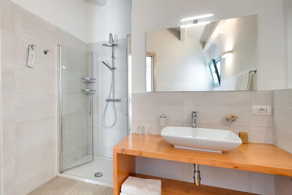 shower, free toiletries, hair dryer, bidet