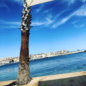 A palm tree by a waterfront with a view of a coastal town. - OrtigiaSeaView Bed & Breakfast (Syracuse)