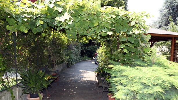 A pathway lined with potted plants and a wooden pergola structure. - B&B Hotel Bicocca (Milan)