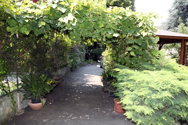 Vue depuis l’hébergement