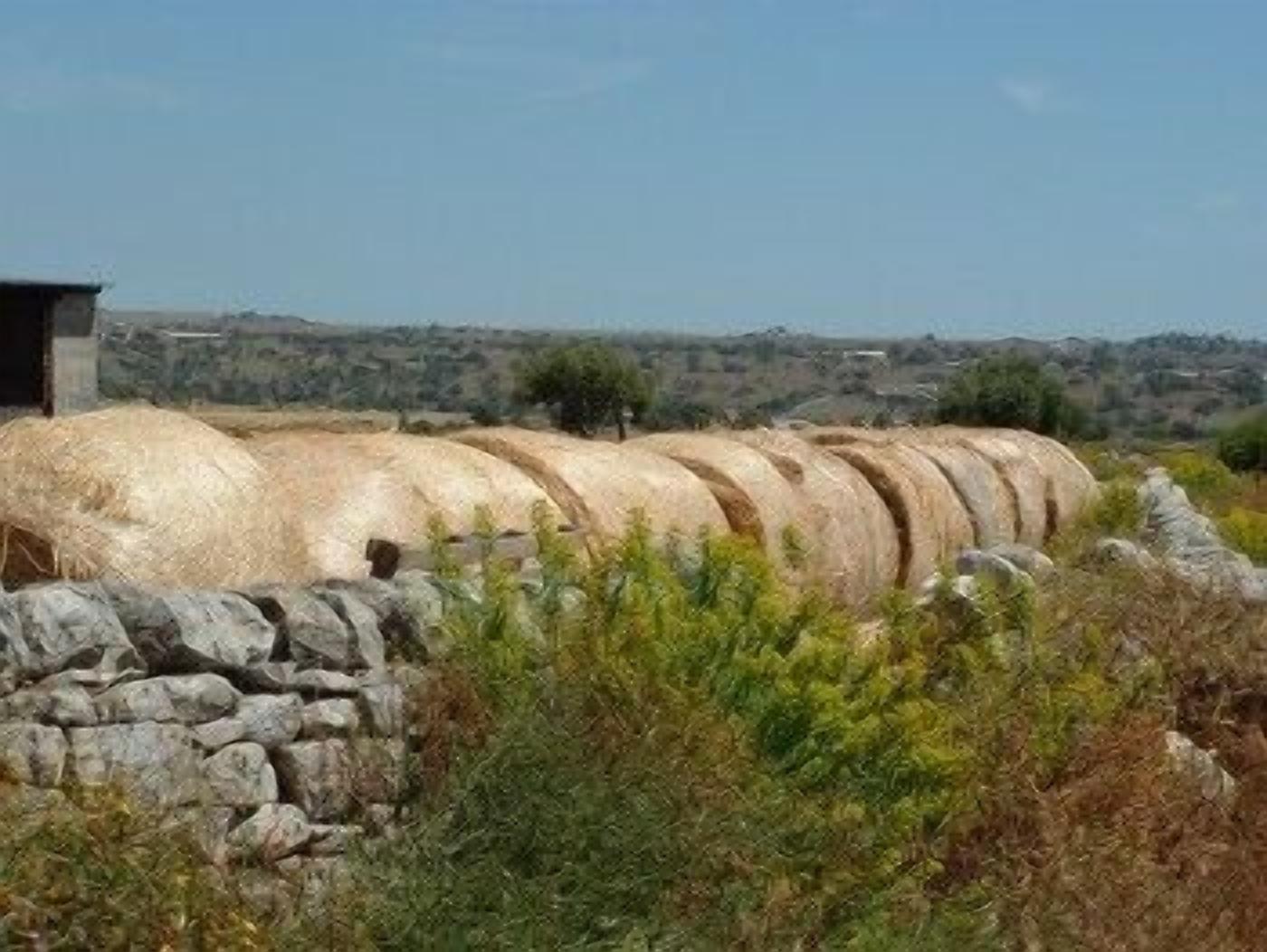 Foto - Casato Licitra