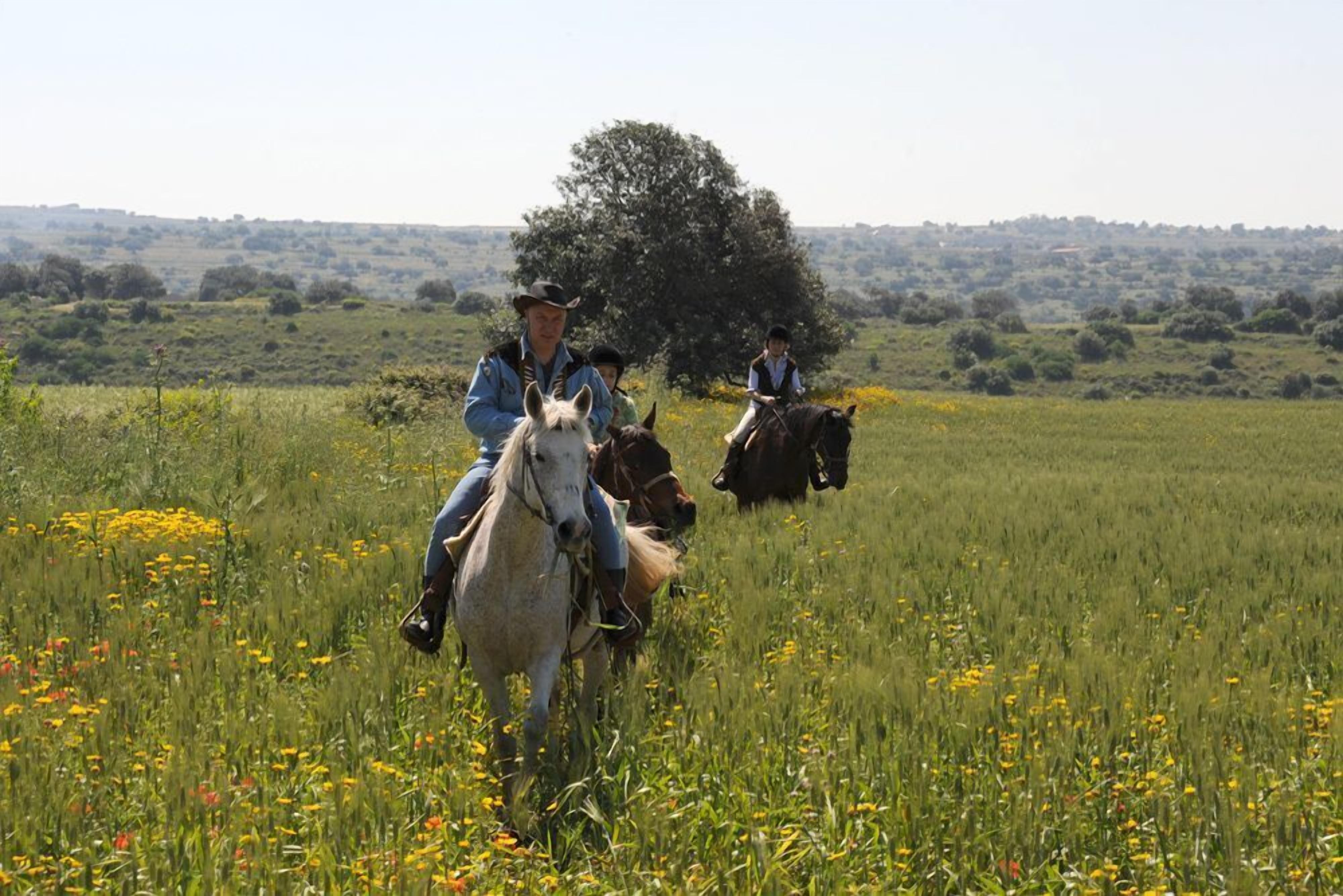 Foto - Casato Licitra