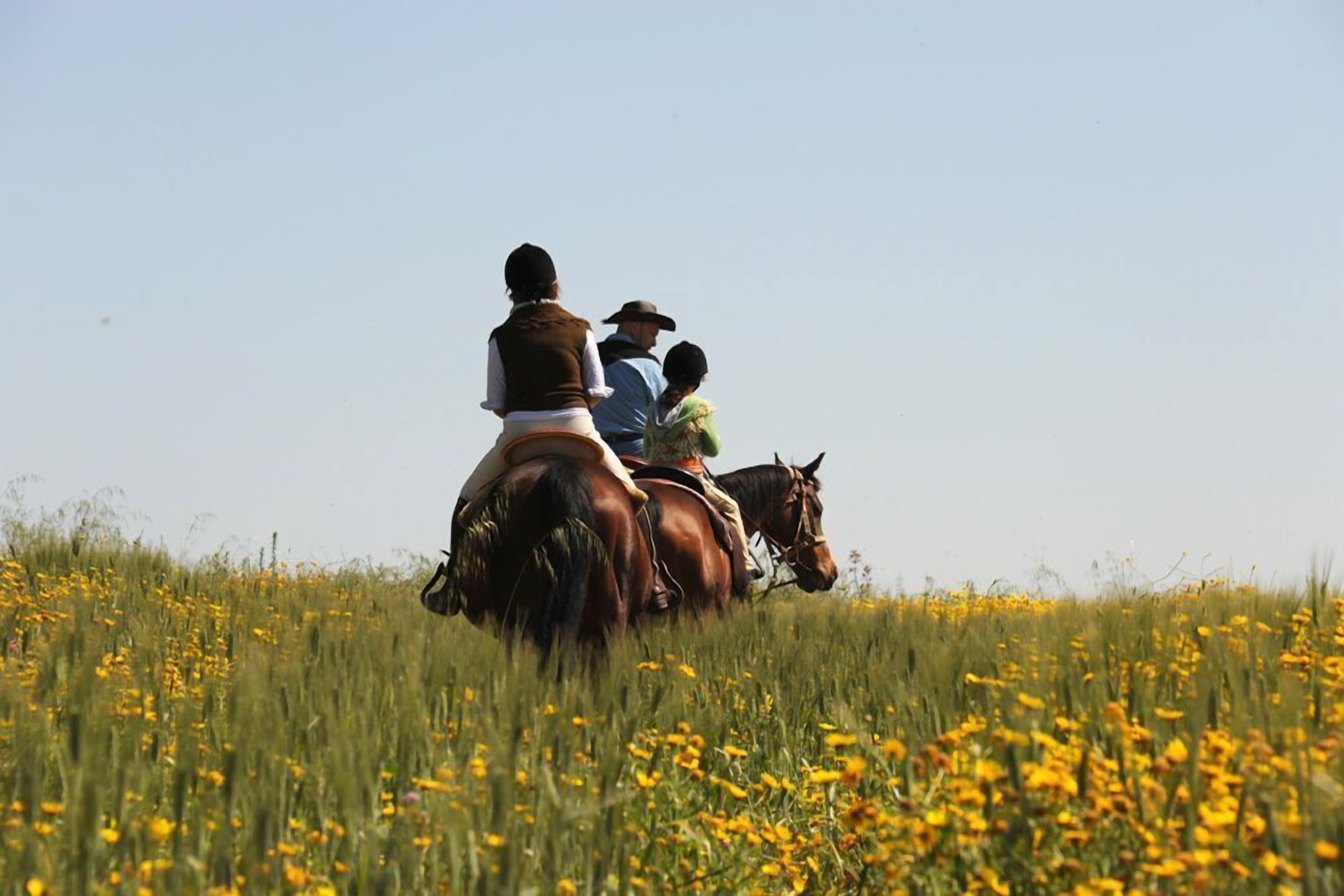 Foto - Casato Licitra