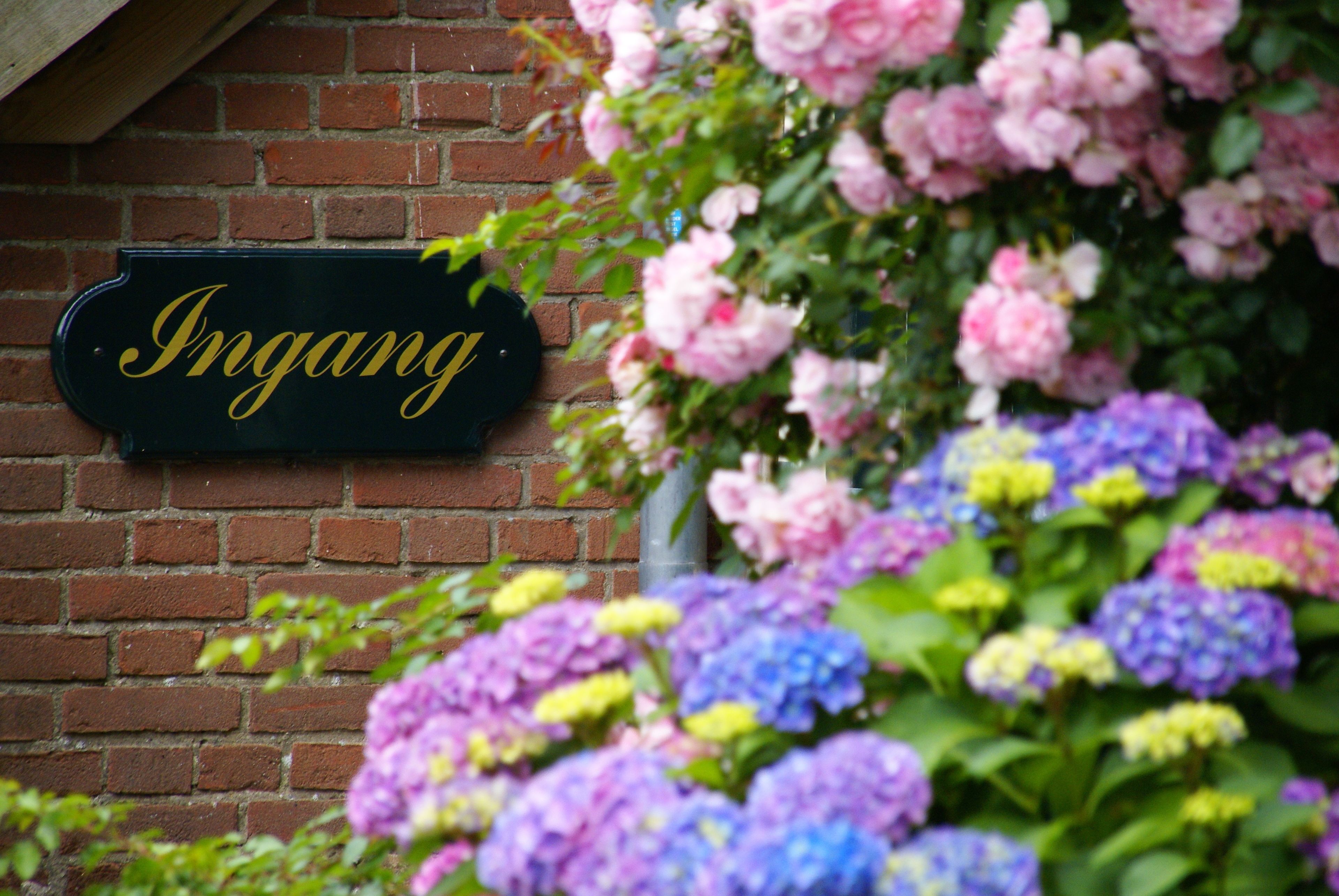A brick wall with a sign that reads "Ingang" and a variety of colorful flowers.