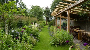 Un jardin agrémenté d’une pergola en bois, d’un sentier et de diverses plantes et fleurs.