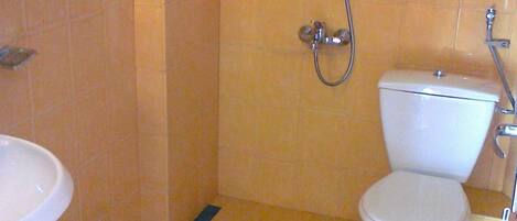 Un baño con inodoro, lavamanos y ducha.