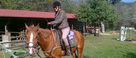 A person riding a horse in an outdoor setting with a stable and trees in the background.