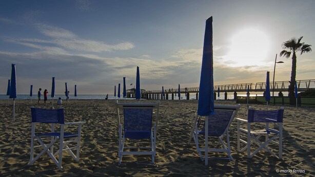 Una playa con hileras de sillas azules y sombrillas, un muelle al fondo, y una palmera.