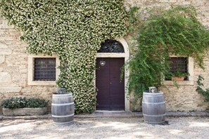 A stone building with a dark wooden door, two potted plants, and a vine-covered wall.