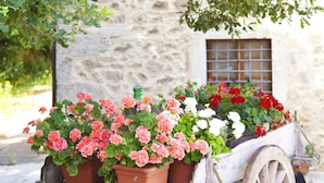Un chariot rustique, décoré de pots de fleurs, est garé devant un bâtiment en pierre.