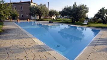 Outdoor pool, pool loungers