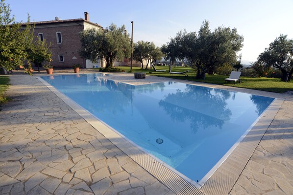 Outdoor pool, pool loungers