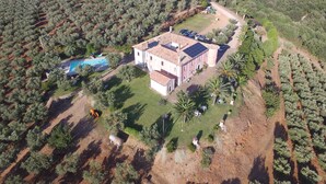 A large house surrounded by olive groves, with a swimming pool and a solar panel on the roof. - Le Carolee (Pianopoli)