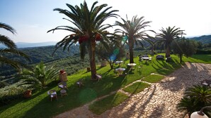 A garden with stone pathways, outdoor furniture, and palm trees. - Le Carolee (Pianopoli)