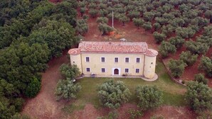 An aerial view of a building surrounded by dense forest. - Le Carolee (Pianopoli)