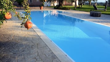 Outdoor pool, pool loungers