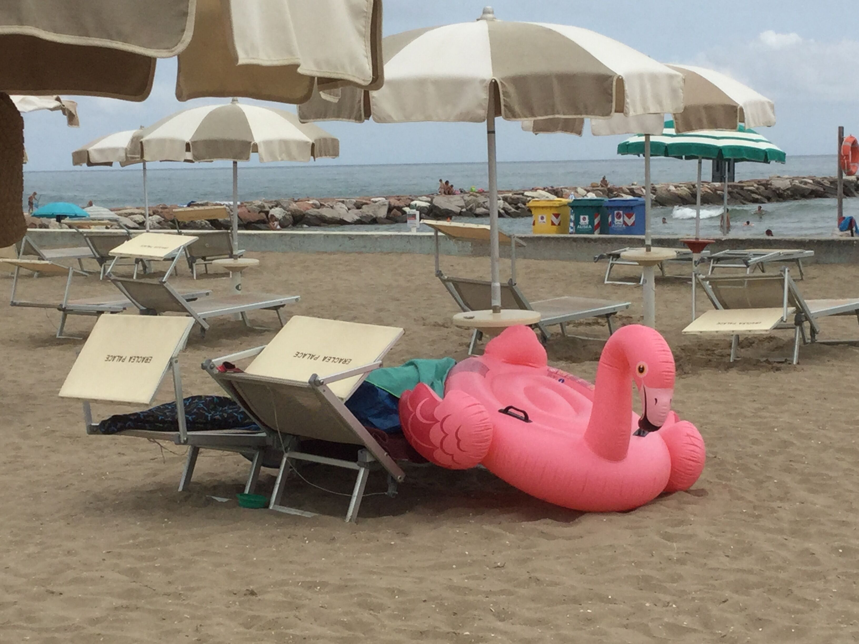 Een strand met ligbedden en parasols, een roze flamingo drijvend in het water, en een rotsachtige kustlijn.