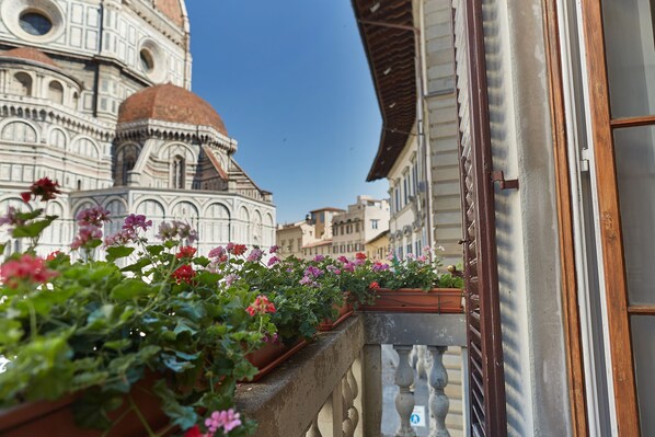 Vistas desde el alojamiento