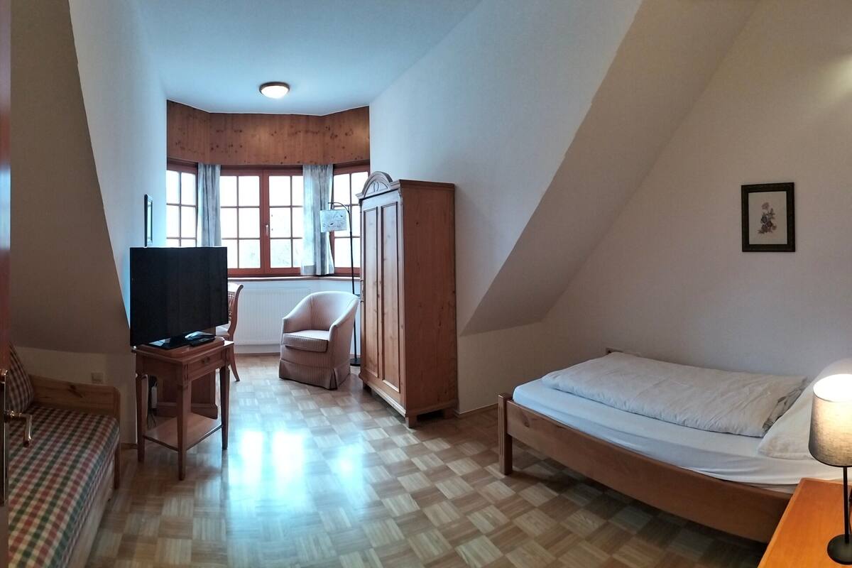 Una habitación con cama, escritorio con televisor, una silla y un armario.