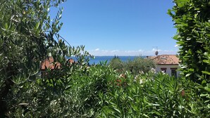 Vista costera con olivos y cielo azul despejado.