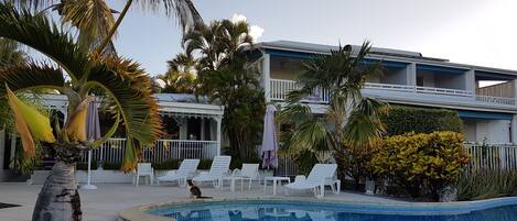A pool area with lounge chairs, palm trees, and a building with balconies.