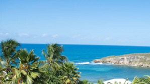 A coastal view with palm trees and a rocky shoreline. - Amaudo (Saint-François)